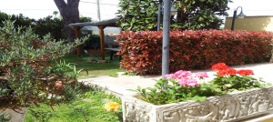 Scorcio del nostro giardino fiorito